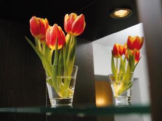 Helvetia Center Hotel